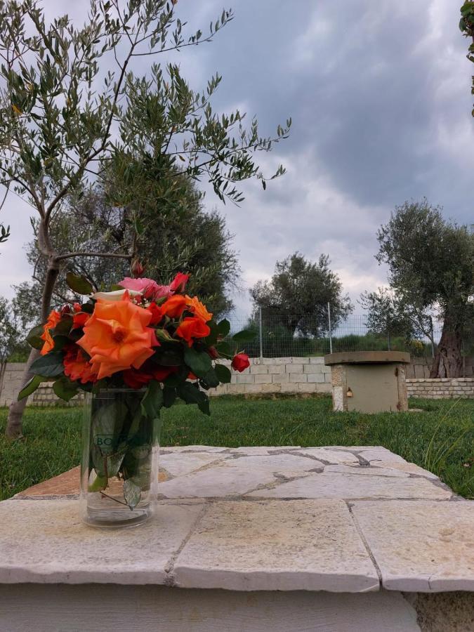 Guest House Gorani Μπεράτ Εξωτερικό φωτογραφία